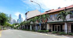 Bukit Pasoh Conservation Area (D2), Shop House #471516271